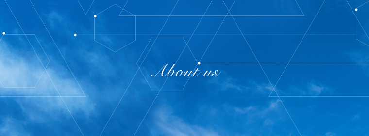 トランスシステム株式会社